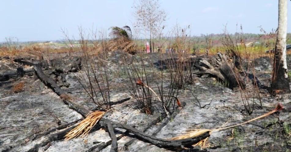 Status Darurat Kekeringan Samarinda Dicabut, DPRD Ingatkan Ancaman Krisis Air Belum Pergi