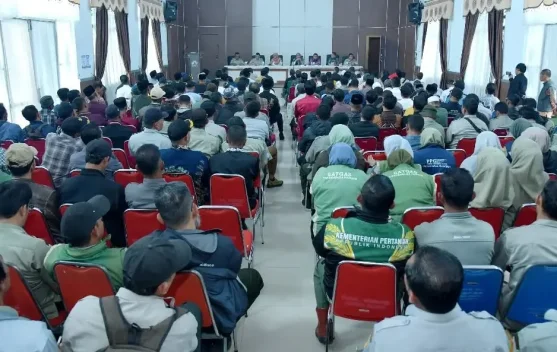 Pemkab Bener Meriah Finalisasi Hilirisasi Kopi 10.200 Hektare, Libatkan 16.240 Petani di 195 Kampung
