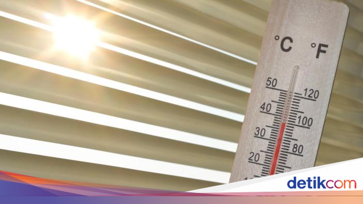 Suhu Udara di Sulsel Capai 37 Derajat Celsius, BMKG Prediksi Panas Menyengat hingga Awal Oktober 2026