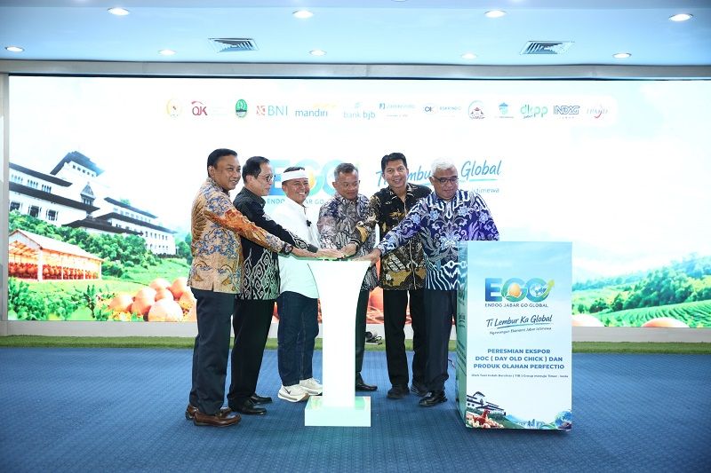 OJK dan Pemprov Jabar Bidik Pembiayaan Rp456,5 Miliar untuk 4.565 Peternak Ayam Petelur