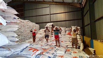 Bulog Serap 4 Juta Ton Beras Petani, Target Inpres Tuntas 3 Bulan Lebih Cepat