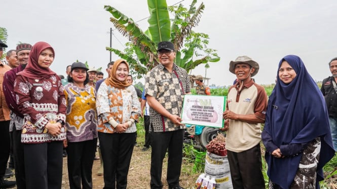 Pemkab Deli Serdang Kembangkan Bawang Merah di Namorambe, Target Panen 13 Ton Akhir Desember