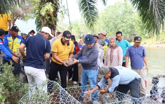 Polres Lebong Bersama Warga Pasang Bronjong Penahan Aliran Sungai Air Ketahun di Desa Talang Leak II