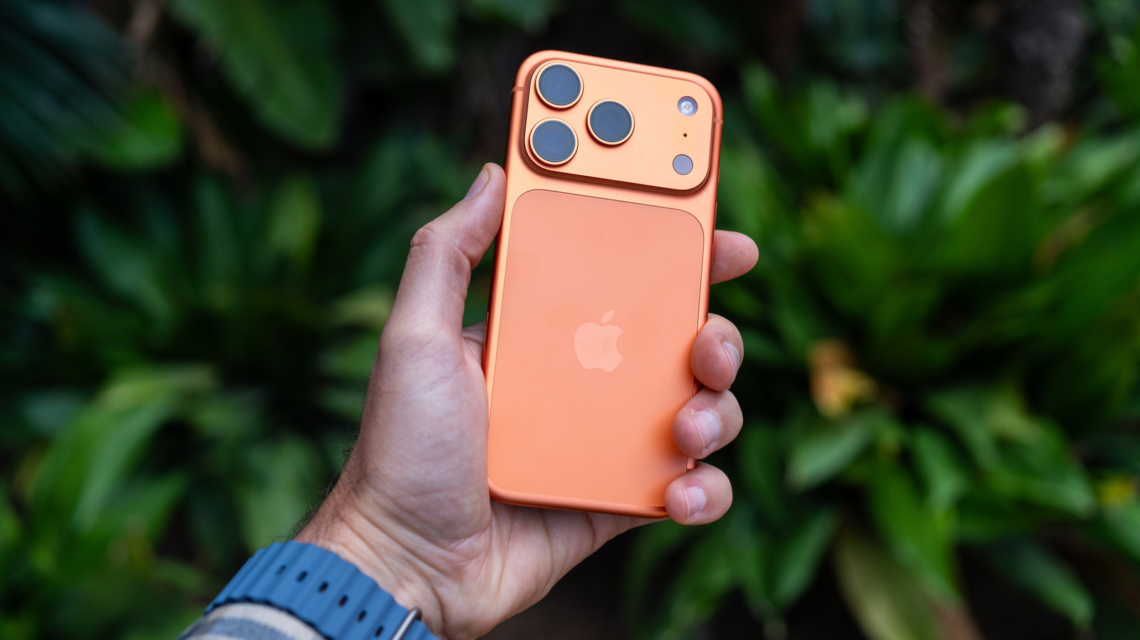 Cara Pakai Live Text di iPhone untuk Salin Teks dari Kamera