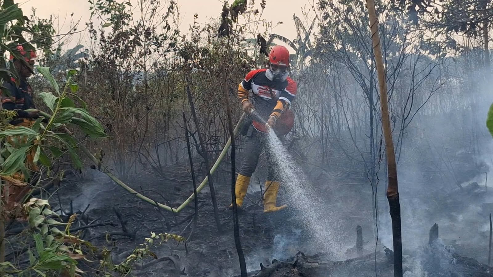 Karhutla Kalsel Hanguskan 20.206 Hektare Lahan Gambut, ISPU Banjarmasin Tembus 1.088 PM