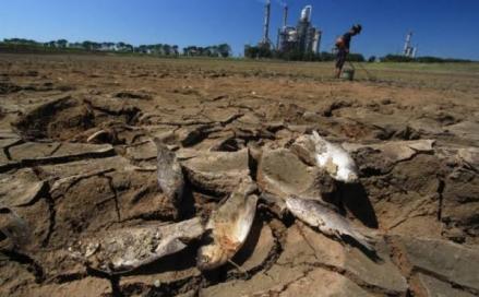 OJK Wanti-wanti Bank soal Dampak El Nino ke NPL dan Kualitas Aset