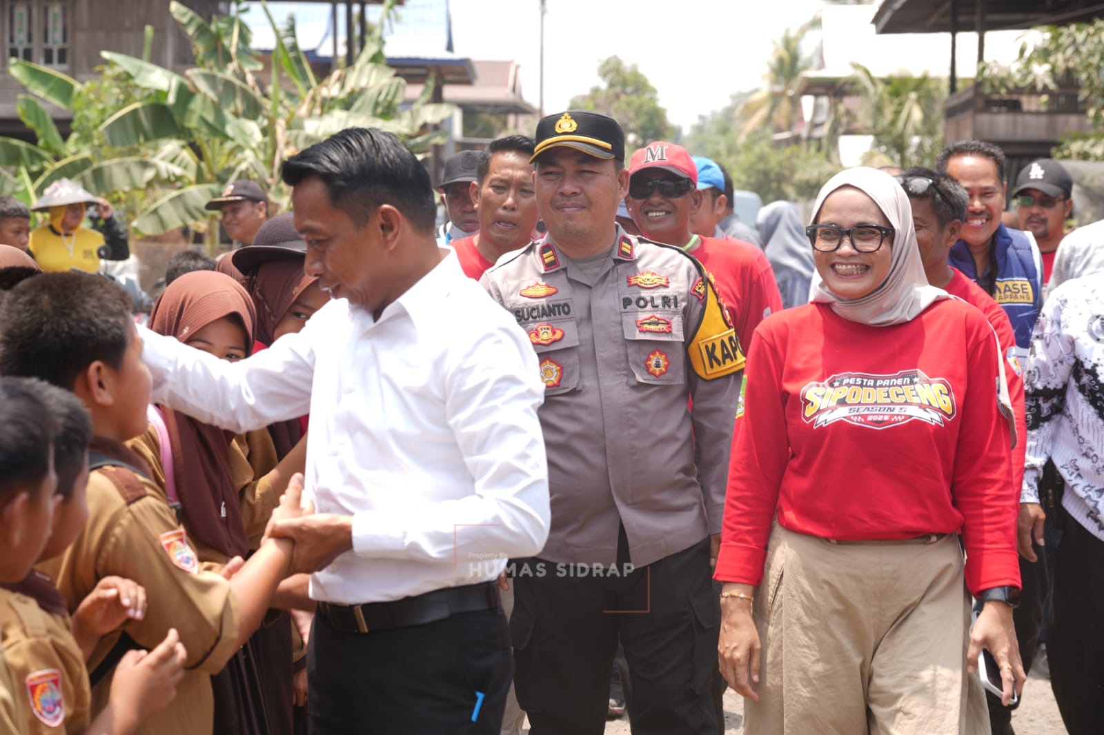 Panen 2.414 Hektare di Baranti Sidrap, Bupati Syaharuddin Alrif Sebut Harga Gabah Rp 7.800 per Kilogram