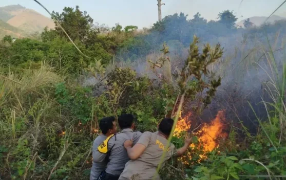 Karhutla Gunung Rinjani Meluas ke 977,74 Hektare, Jalur Pendakian Senaru dan Torean Ditutup
