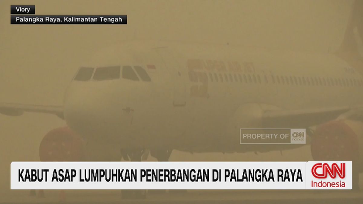Kabut Asap Karhutla Selimuti Palangka Raya, Penerbangan Dibatalkan dan Udara Masuk Kategori Berbahaya