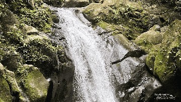 Curug Naga Bogor: Trek Licin, Kolam Hijau Jernih, dan Cliff Jumping 4 Meter