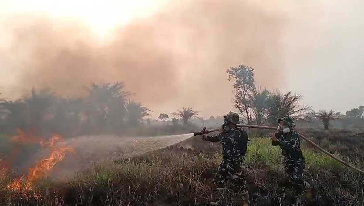 TNI dan Tim Gabungan Padamkan Karhutla 2 Hektare di Palemraya Ogan Ilir, Api Sempat Meluas ke 3 Hektare
