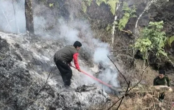 Karhutla TN Gunung Rinjani Meluas, 977,74 Hektare Terdampak dan 80 Personel Dikerahkan