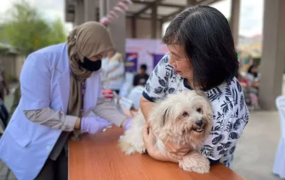PDHI Kalsel Gelar Vaksinasi Rabies Massal Gratis 4 Oktober 2026 di Museum Lambung Mangkurat