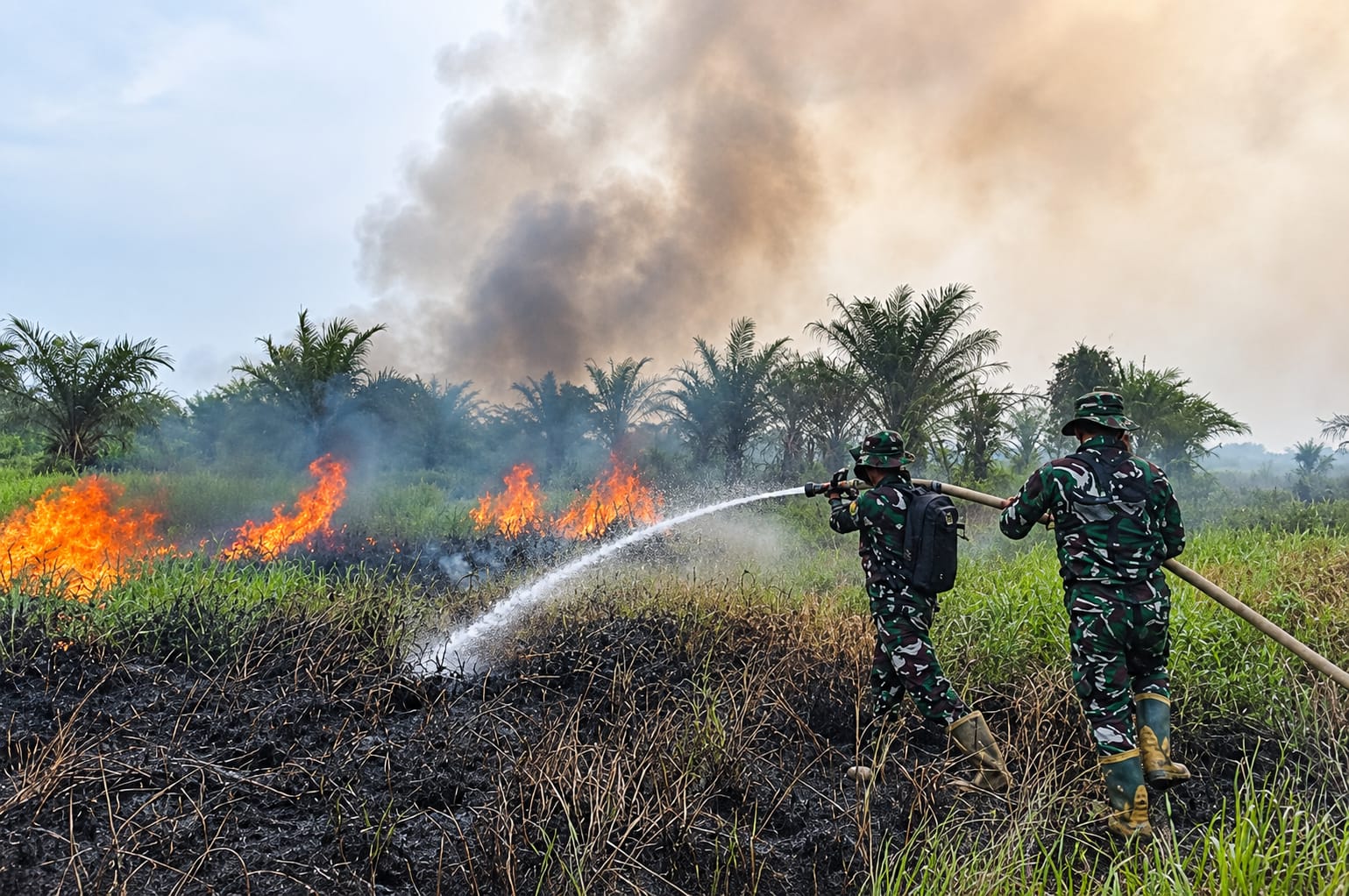 Karhutla Hanguskan 3 Hektare Lahan di Palem Raya Ogan Ilir, Tim Gabungan Padamkan 2 Hektare dalam Dua Jam