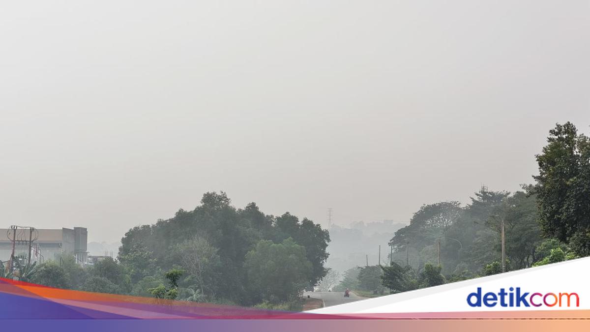 Kabut Asap Selimuti Batam, Jarak Pandang di Bandara Hang Nadim Turun Jadi 2-3 Km