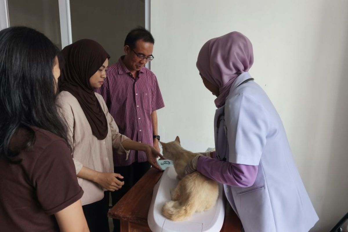 YPN dan PDHI Lampung Gelar Vaksinasi Rabies Gratis, Target 70 Persen Cakupan untuk Kekebalan Kelompok