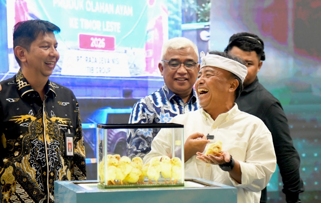 Pemprov Jabar dan OJK Luncurkan Program EGG, 4.665 Peternak Ayam Petelur Didorong Naik Kelas