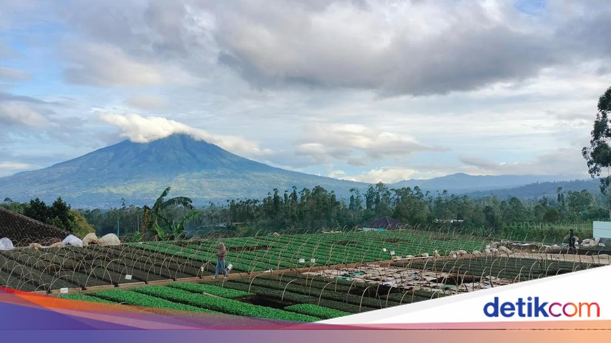 Sesar Garsela Ancam Garut, Potensi Kerugian Gempa Capai Rp 39,7 Triliun