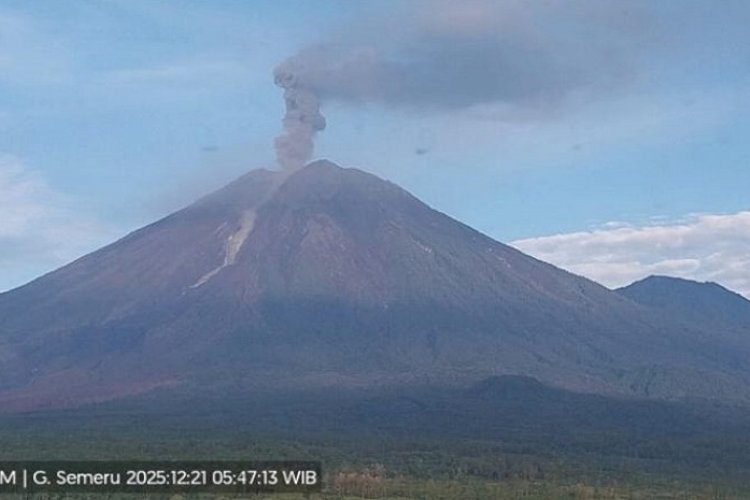 Gunung Semeru Erupsi 1.300 Meter, Empat Kali dalam Sehari