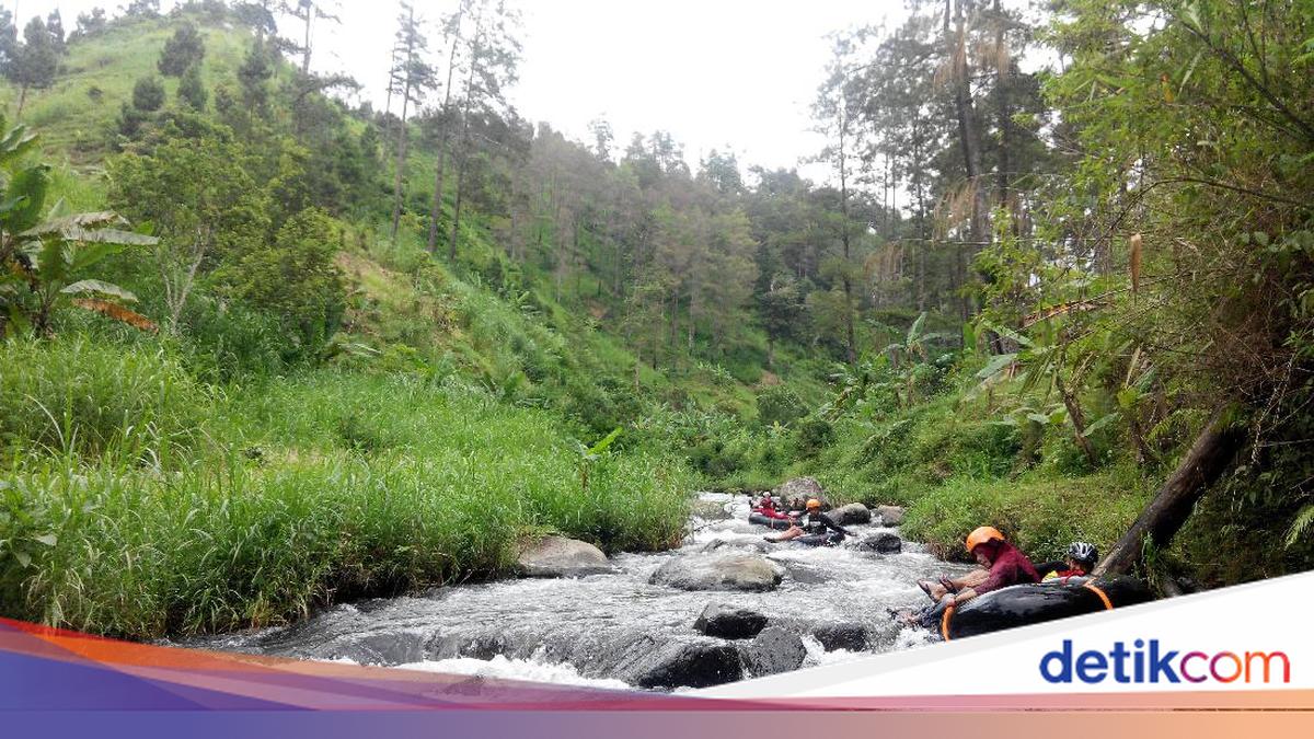 7 Wisata Sekitar Gunung Wilis di Jawa Timur, Tiket Mulai Rp 5.000