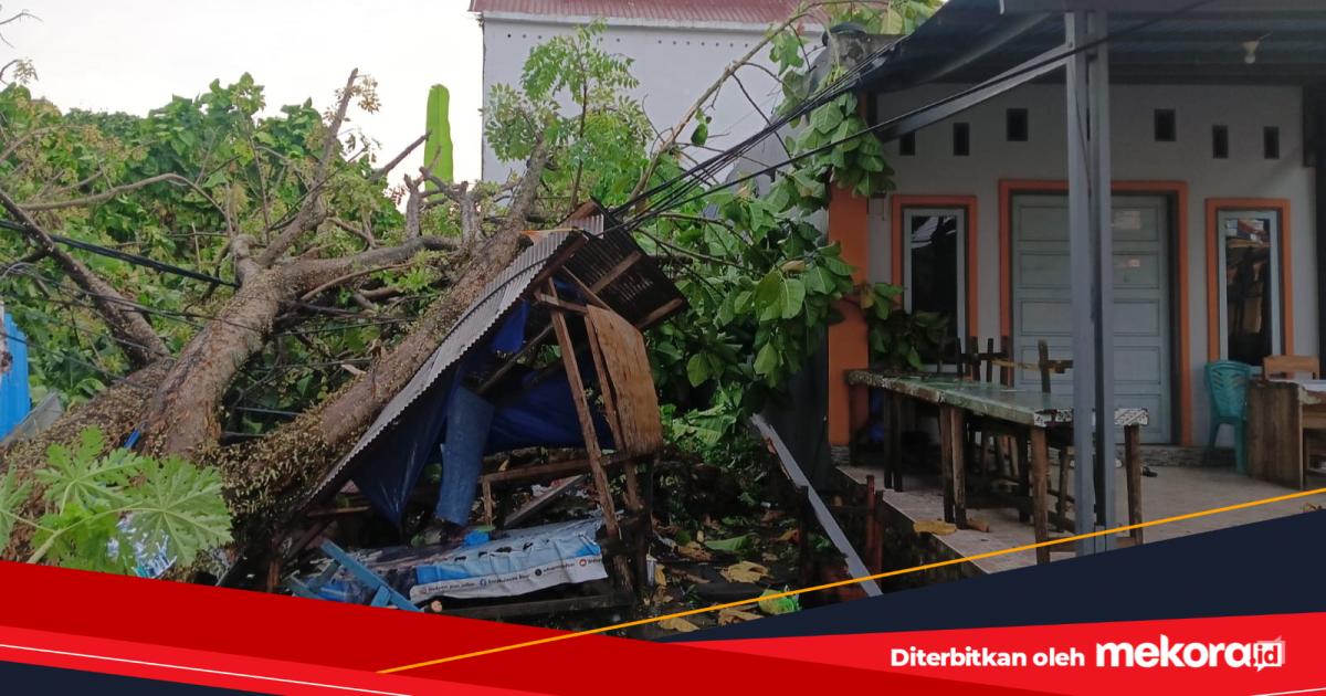 Hujan Lebat dan Angin Kencang Landa Mamuju, Sejumlah Rumah Warga Rusak dan Terendam