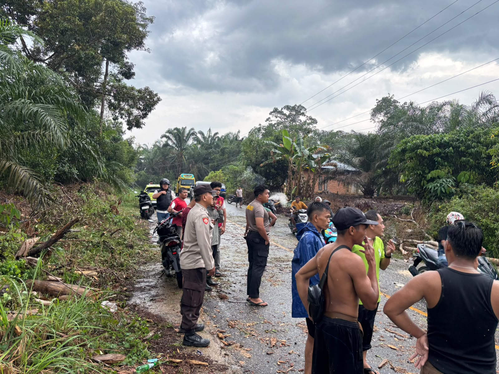 Hujan Lebat Tumbangkan Pohon di Jalan Bangko-Kerinci, Bidan Desa Luka dan Satu Warga Meninggal Dunia