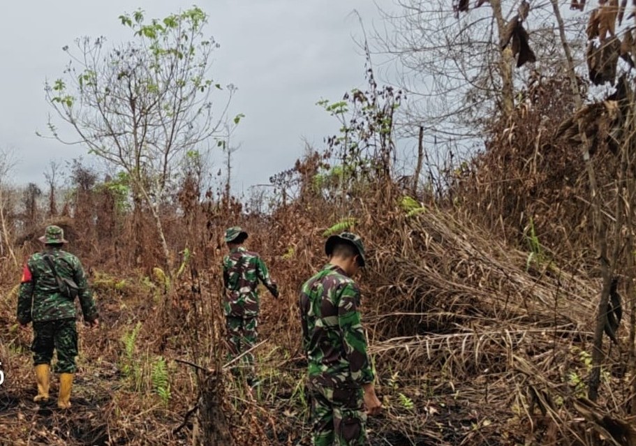 TNI Perketat Patroli Karhutla di Singkawang Utara, 7 Personel Sisir Lahan Bekas Terbakar