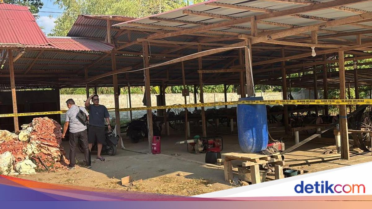 Polda Gorontalo Gerebek Tambang Emas Ilegal di Bone Bolango, 9 Penambang Diamankan