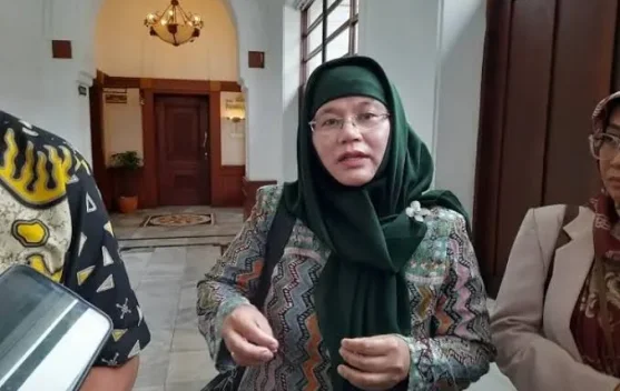 Dinkes Jabar Sebut Angka Kematian Ibu 88 per 100.000 Kelahiran, di Bawah Nasional 122