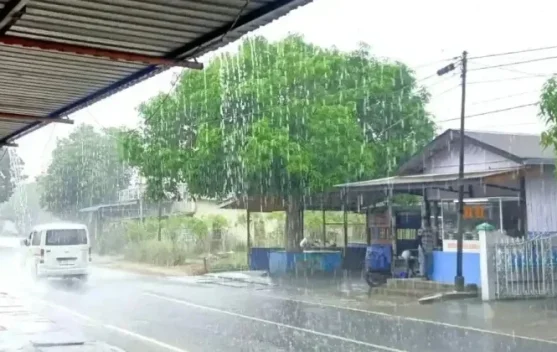 BMKG Peringatkan Gelombang 4 Meter di Perairan Selatan Banten hingga NTT, Waspadai Banjir Rob di 9 Pesisir