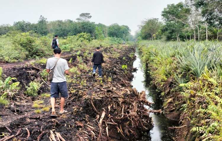 Pascakarhutla, GEMPUR Kalbar Survei Titik Sekat Kanal di Desa Kalibandung Kubu Raya