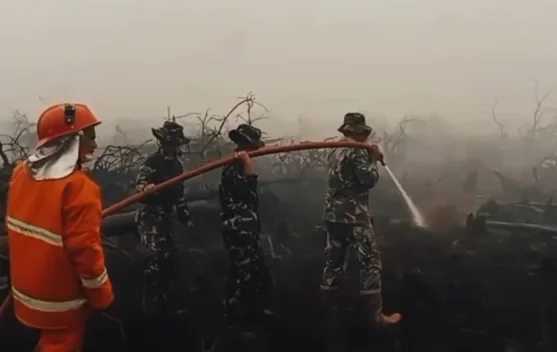 Kodam XII Tanjungpura dan Satpol PP Kalbar Padamkan Karhutla di 6 Lokasi, 6 Hektare Lahan Terbakar