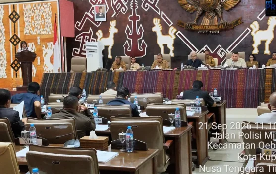Fraksi Demokrat Soroti PAD NTT Turun Rp633 Miliar di Perubahan APBD 2026, Realisasi Baru 33,58 Persen