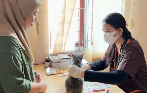 Karantina Kalbar Vaksinasi 35 Hewan Peliharaan di Perbatasan Badau, Cegah Rabies di Kapuas Hulu