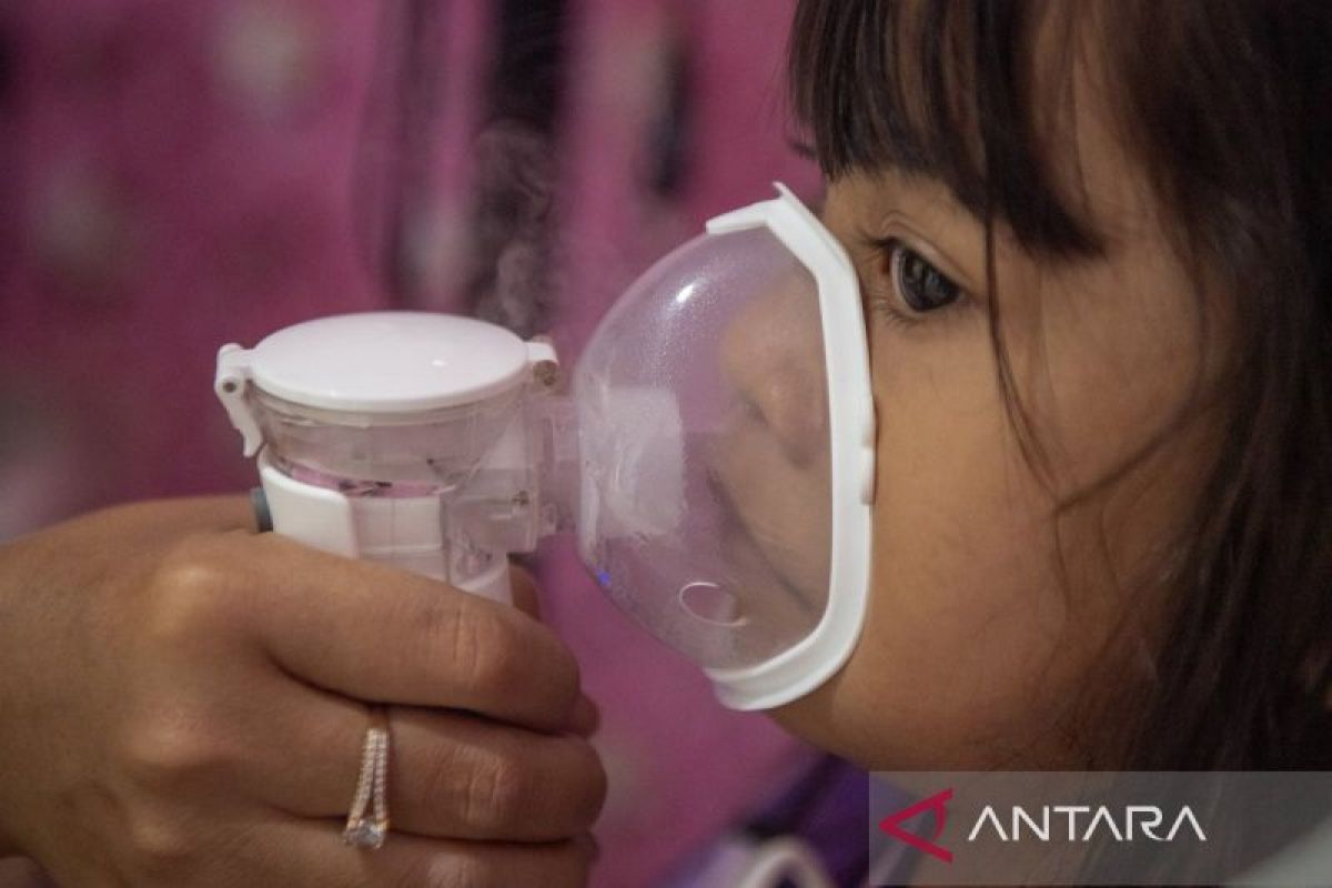 IDAI Bagikan 6 Langkah Lindungi Anak dari Asap Karhutla, Pantau ISPU hingga Siapkan Ruang Bersih