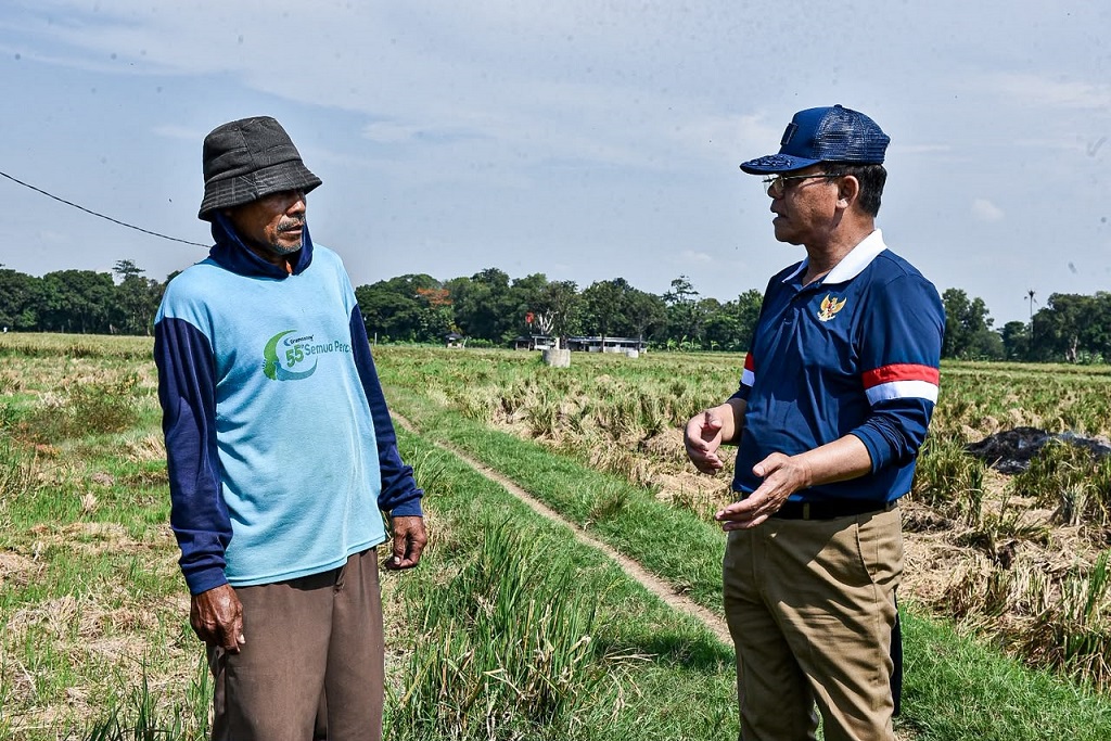 Mardiono Dukung Penuh Kebijakan Mentan Amran Lindungi Petani dan Produksi Pangan