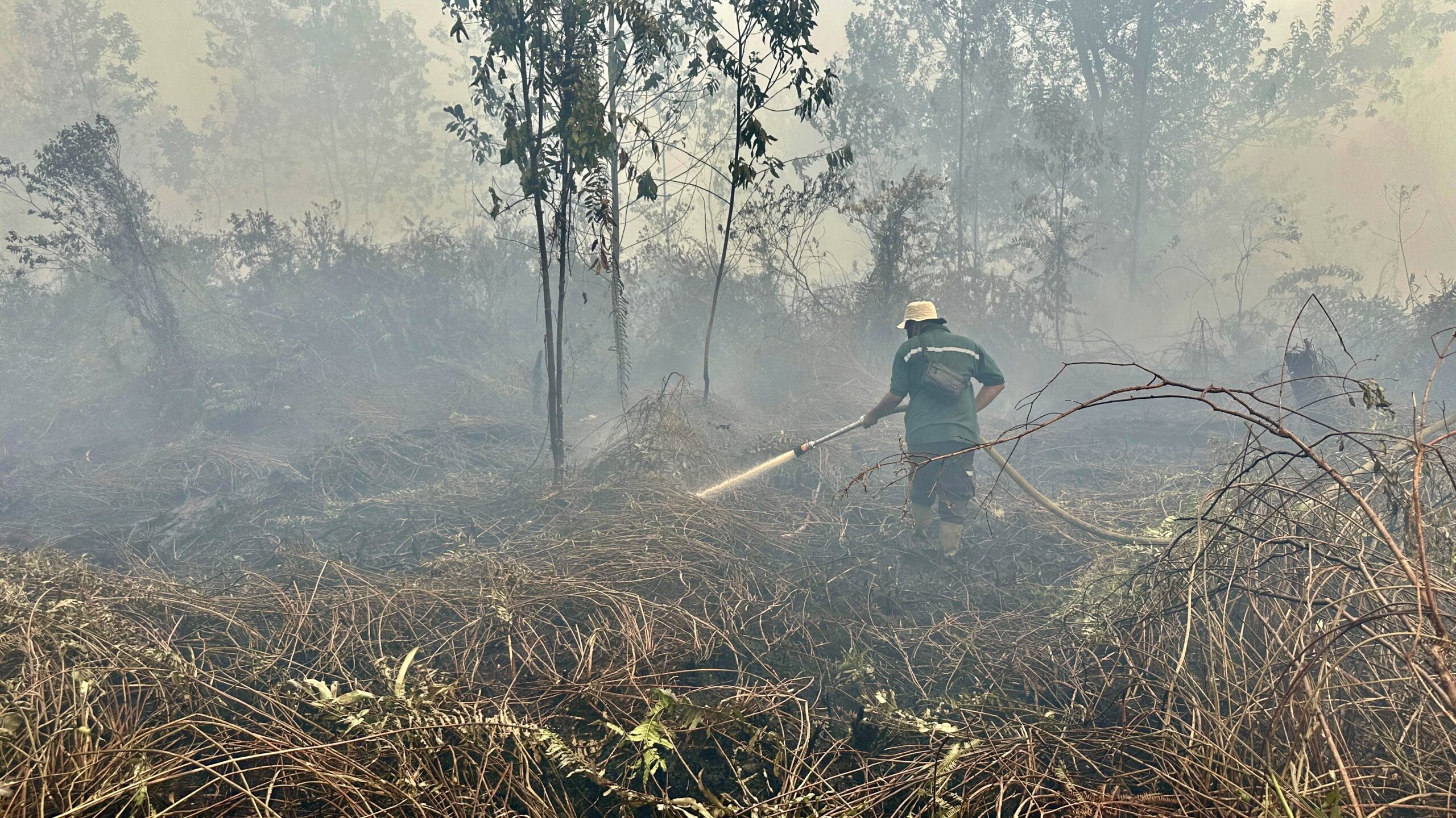 Karhutla Jambi Hanguskan 33.180 Hektare, Satgas dan Polda Tangani 75 Kasus