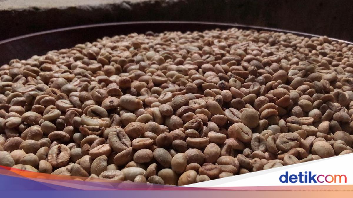 5 Fakta Kopi Liberika, Biji Langka Kaya Cita Rasa