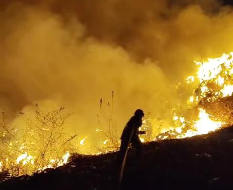 Kebakaran TPA Jatibarang Semarang, 1.000 Meter Persegi Zona 3 Terbakar