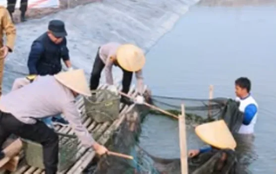 Polda Metro Jaya Panen 10 Ton Ikan di Muaragembong Bekasi untuk Pasok Bahan Baku SPPG