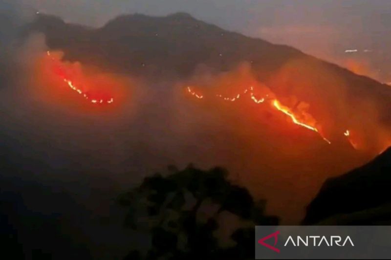 719 Kebakaran Landa NTB Januari–Agustus 2026, Kerugian Tembus Rp70,97 Miliar