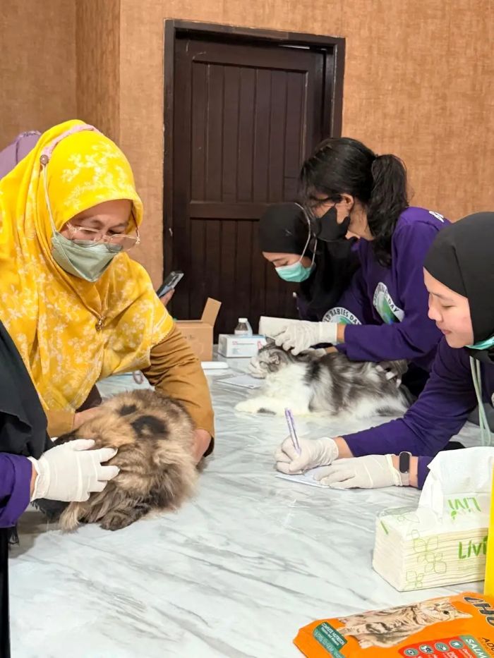 DPKH Kaltim Sebar 15.000 Dosis Vaksin Rabies ke 10 Kabupaten Kota, Kasus Gigitan Anjing Masih Ditemukan