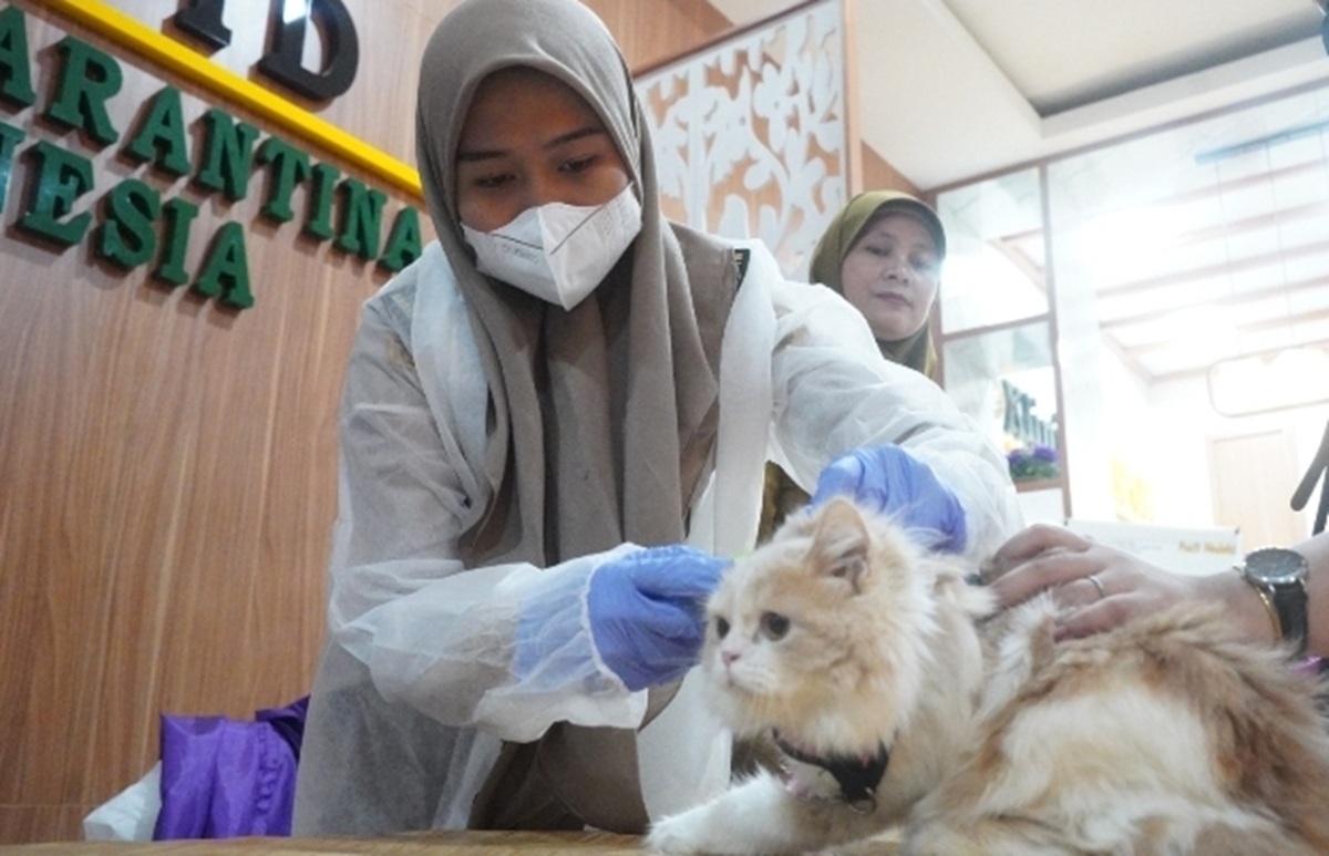 Karantina Sumsel Vaksinasi 96 Hewan Peliharaan, Palembang Siap Ditetapkan Bebas Rabies