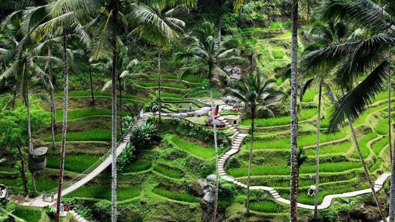 Bali Masuk 10 Besar Destinasi Solo Traveling Dunia Versi Tripadvisor 2026