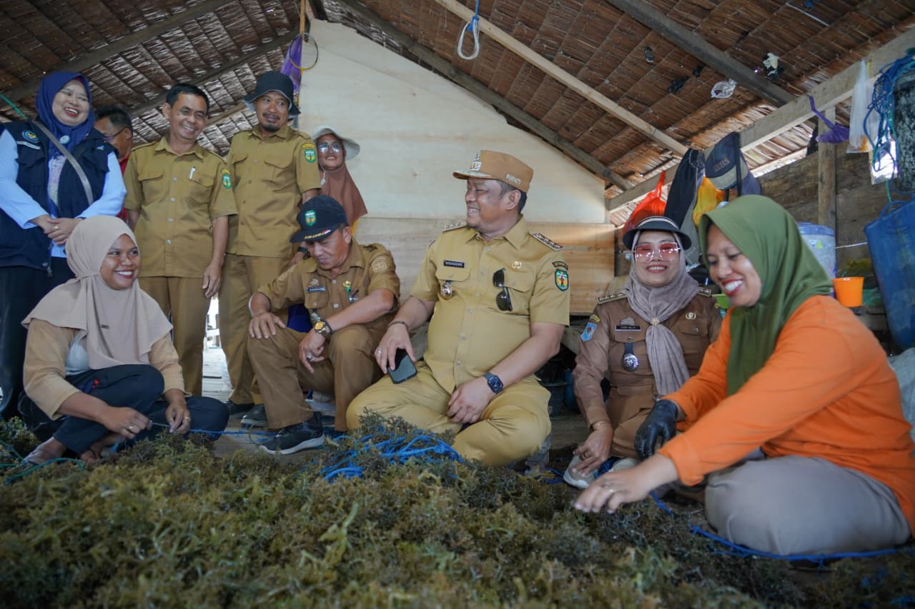 Bupati Luwu Sebut Rumput Laut Lokal Berkualitas Terbaik, Harga Turun karena Tata Niaga Belum Maksimal