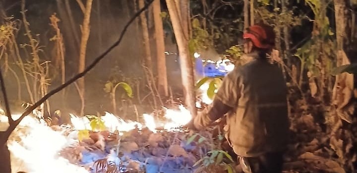 Kebakaran Lahan Perkebunan di Cikaso Ciamis Padam Dini Hari, Damkar Banjarsari Turun Tangan