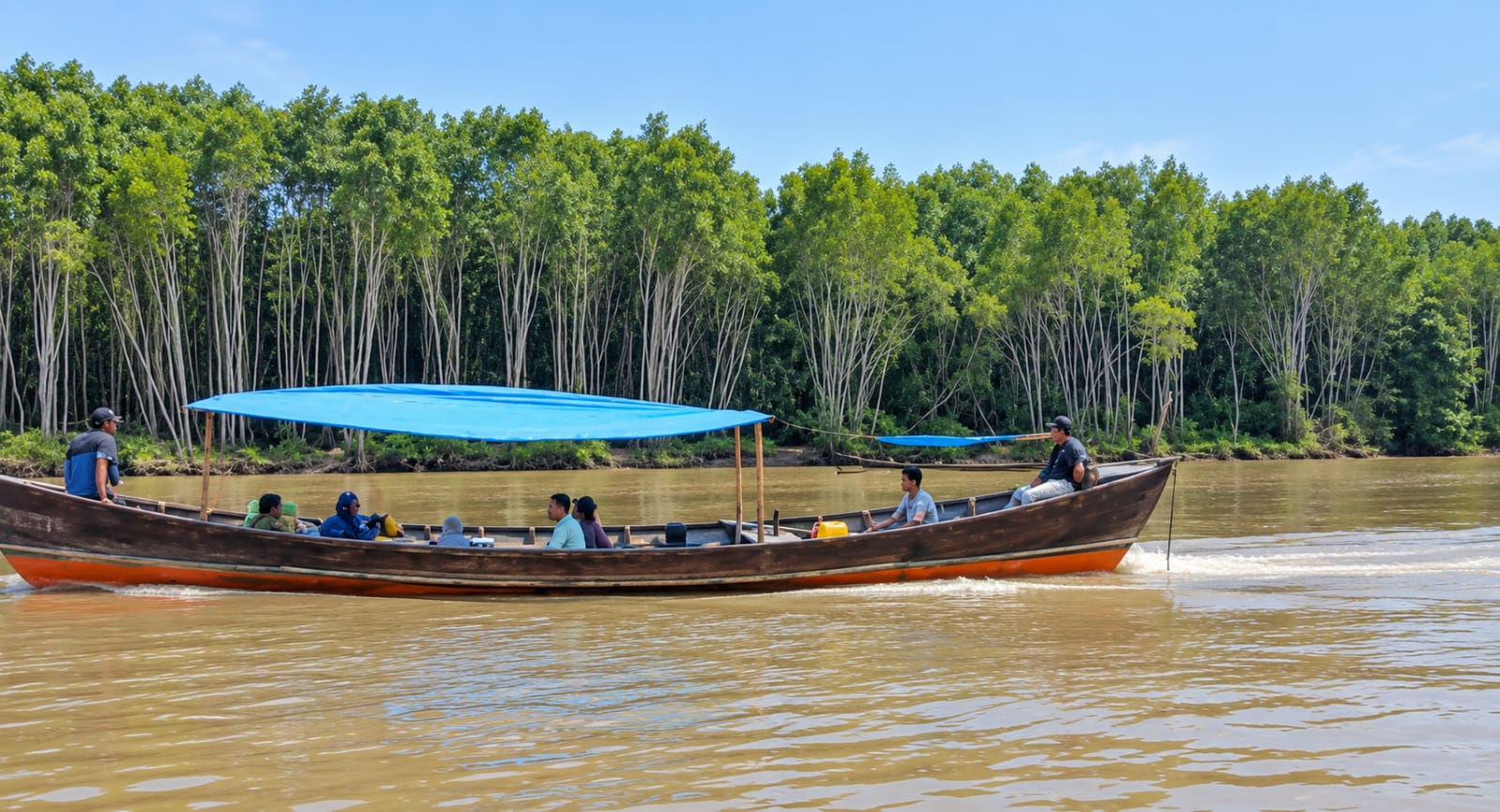 Wisata Mangrove Suaka Margasatwa Langkat Tawarkan Susur Sungai hingga Koloni Kalong Raksasa