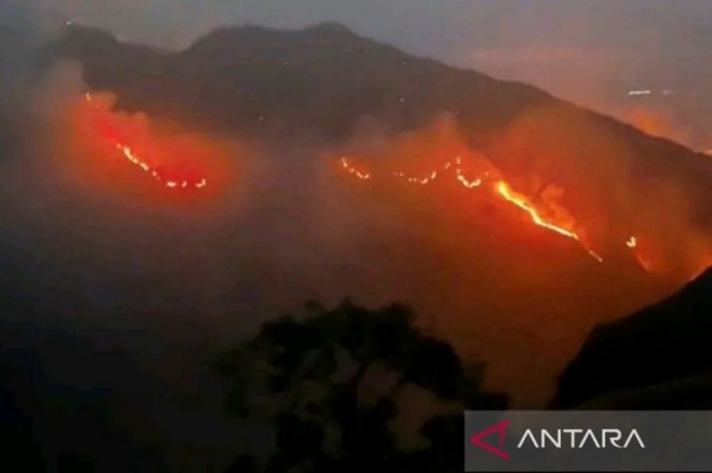 BPBD Jabar Catat 404 Karhutla Sepanjang 2026, Sumedang Terbanyak, 668 Hektare Lahan Terbakar