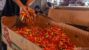 Inflasi September 2026 Capai 0,30%, Cabai Rawit dan Daging Ayam Jadi Pemicu