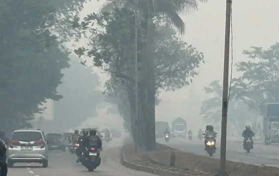 Kabut Asap Karhutla Sumsel Menebal, LBH Palembang Pertanyakan Bantuan Presiden Ratusan Miliar